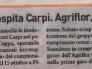 10-05-11-carlino